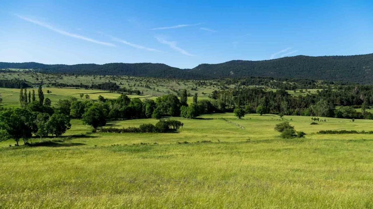 Eco-Apartaments Cal Rossa De Taus Buitenkant foto